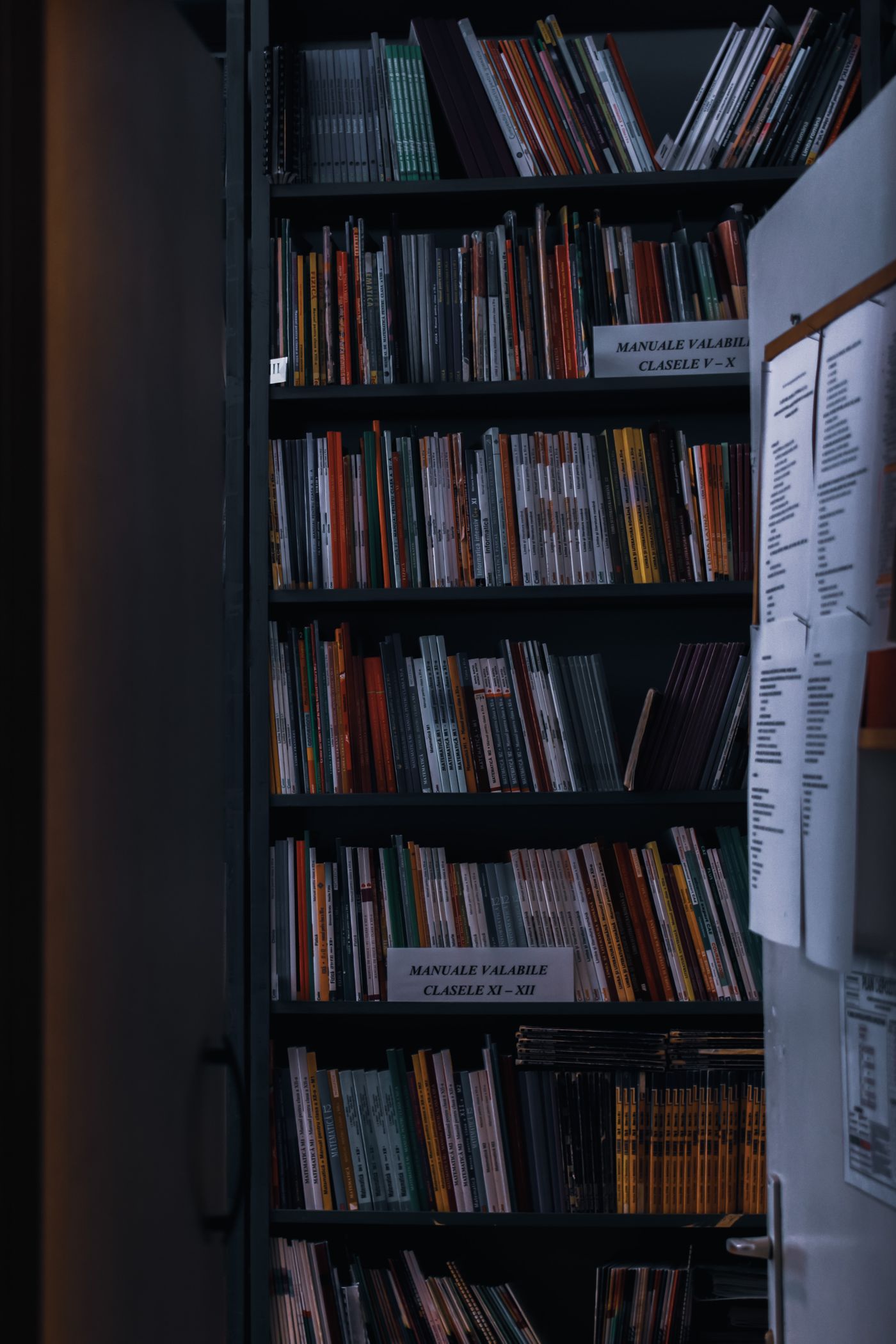 Tall shelves filled with books line a library interior.
