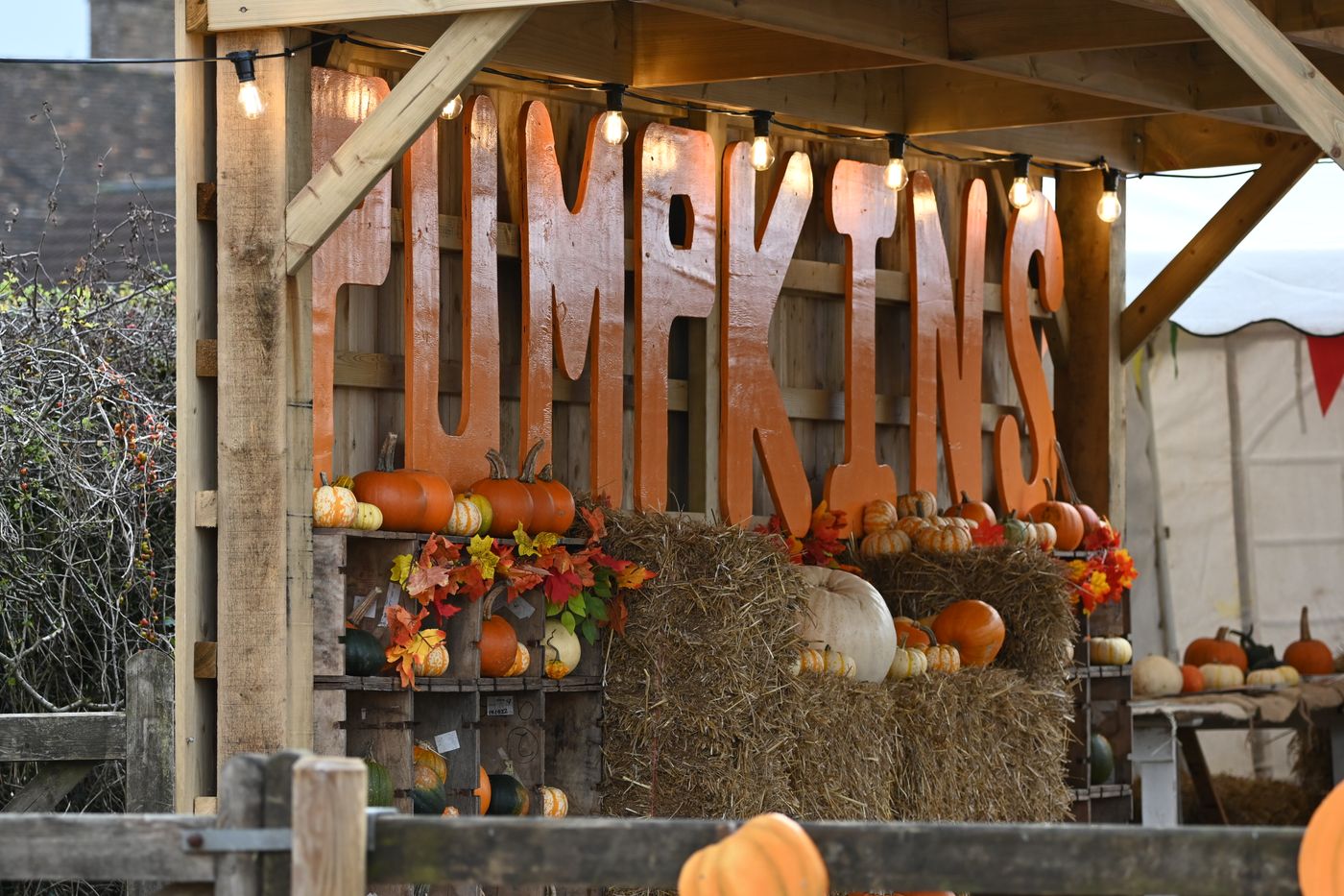 A wooden harvest sign stands above pumpkins and fall decorations.